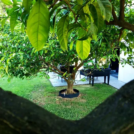 House Of Silence * Trogir